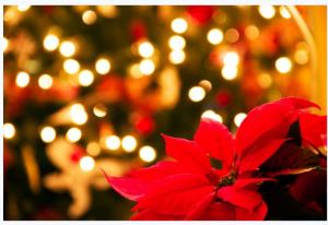 Πού είναι το αληθινό πνεύμα των Χριστουγέννων