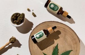 Έλαιο Κάνναβης (CBD Oil) – Ο απόλυτος οδηγός για τα οφέλη και τη χρήση του