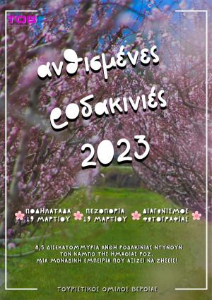 Οι δράσεις στις «Ανθισμένες Ροδακινιές» της Βέροιας 2023