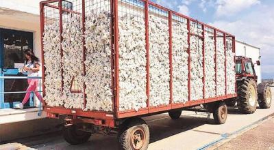 Οι περίοδοι μεταφοράς αγροτικών προϊόντων με γεωργικούς ελκυστήρες