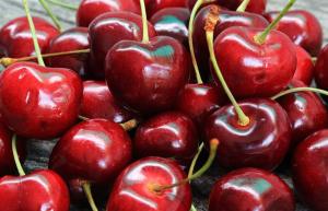 Ο Αγροτικός Σύλλογος Γεωργών Βέροιας ενημέρωσε Υπουργό και ΕΛΓΑ για τις ζημιές λόγω βροχοπτώσεων