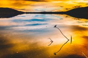 Ξεκίνησαν οι εγγραφές για τα Τμήματα Θεατρικής Υποδομής στο ΔΗ.ΠΕ.ΘΕ. Βέροιας