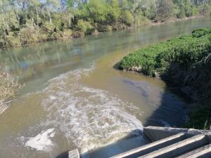 Οικολογική Ομάδα Βέροιας: "Εξαφανίζουν" την λυματολάσπη στην Τάφρο "66"