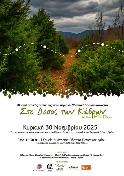 Περιπατητική διαδρομή στο Δάσος των Κέδρων στο Γιαννακοχώρι