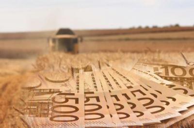 Σε οριακό σημείο ο κάμπος της Ημαθίας