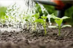 Ενημερωτική συνάντηση για τη λειτουργία και τη διαχείριση του αρδευτικού συστήματος για το έτος 2026 στο Δημαρχείο Μελίκης