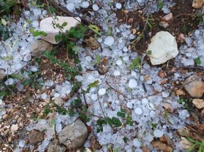 Αναγγελία ζημίας από το χαλάζι της Πέμπτης 4 Ιουνίου στις καλλιέργειες σε Επισκοπή, Ξεχασμένη, Λουτρού και Κεφαλοχωρίου