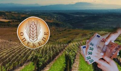 Τα βοσκοτόπια του Σταύρου Τζεδάκη στη Νάουσα: Ένα αγροτικό παράδοξο με πολιτικές προεκτάσεις