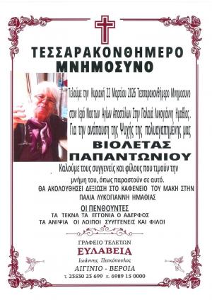 Τεσσαρακονθήμερο Μνημόσυνο της Βιολέτας Παπαντωνίου