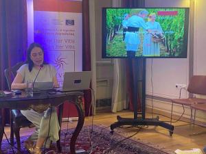 Η Νάουσα στην 2η Ετήσια Συνάντηση των μελών της Ελληνικής Πολιτιστικής Διαδρομής του Συμβουλίου της Ευρώπης για το κρασί Iter Vitis