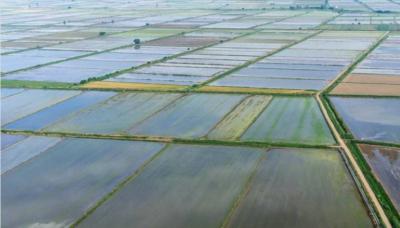 Οδηγίες εκμίσθωσης αγροτεμαχίων για την περιοχή Έλους Κλειδίου