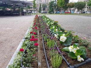 Κάλεσμα στην παρουσίαση των αποτελεσμάτων της μελέτης, «Βέροια: Μια πόλη για όλους»