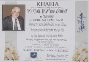 Απεβίωσε ο Πρόδρομος Τριανταφυλλόπουλος