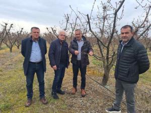 Άμεση κινητοποίηση για τους αγρότες της Βέροιας μετά τον παγετό