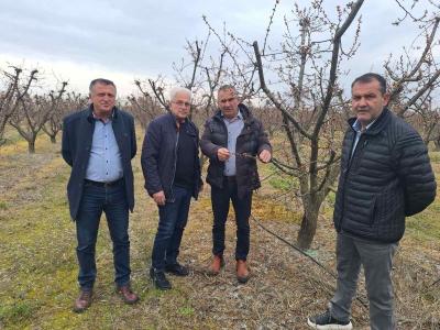 Άμεση κινητοποίηση για τους αγρότες της Βέροιας μετά τον παγετό