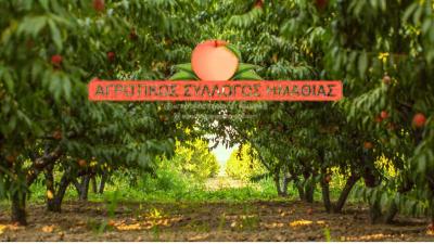 Την Τετάρτη Γενική Συνέλευση του Αγροτικού Συλλόγου Ημαθίας