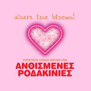 Στο καλωσόρισμα της Άνοιξης η ΚΕΠΑ Δ. Βέροιας, με εικαστικό αργαλειό και Artguitaristas