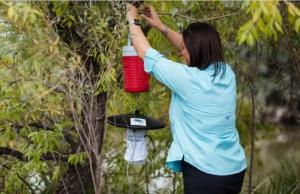 Κίνηση συνεργείων του Προγράμματος Καταπολέμησης Κουνουπιών έως και την Παρασκευή