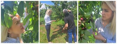 Αναγκαιότητα ο εκσυγχρονισμός του ΕΛΓΑ, η Λίνα Τουπεκτσή δίπλα στους παραγωγούς κερασιών.