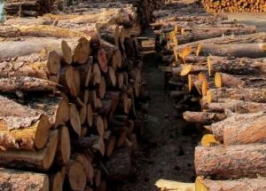 Ολοκληρώθηκε η διανομή καυσόξυλων στους απολυμένους του Βαρβαρέσου