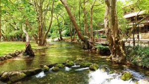 Άγιος Νικόλαος Νάουσας: Νότες δροσιάς και ψυχαγωγίας... (vid)