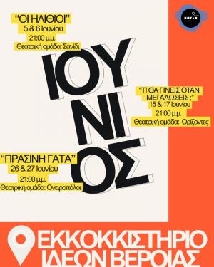 "Οι Ηλίθιοι" του Νιλ Σάιμον στο Εκκοκκιστήριο Ιδεών Βέροιας