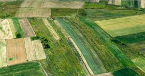 Εκμίσθωση αγροτεμαχίων του Δήμου Αλεξάνδρειας ανακοινώθηκαν για την περίοδο 5 έως και 23 Δεκεμβρίου