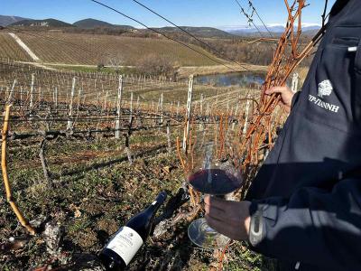 Τιμώντας την Νάουσα, την Πόλη του Οίνου στο Κτήμα Κυρ-Γιάννη