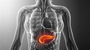 Αλκοόλ και καρκίνος παγκρέατος: Ποιοι κινδυνεύουν περισσότερο;