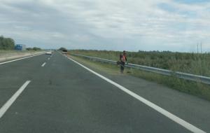 Πολύ επικίνδυνο!!! Κόβουν με μεσινέζα τα χόρτα στην Εγνατία Οδό.