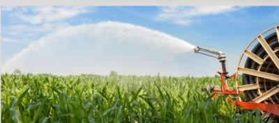 Δημοπρατείται το αρδευτικό έργο 2,197 εκατ. ευρώ στο αγρόκτημα Κυψέλης Δήμου Αλεξάνδρειας