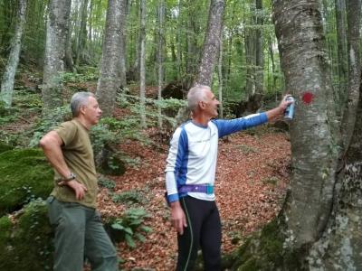 Διάνοιξη και σήμανση μονοπατιών στον ορεινό όγκο του Βερμίου από τον Δήμο Νάουσας και αθλητικά σωματεία