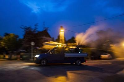 Την Πέμπτη βράδυ ψεκασμοί για τα κουνούπια στο Νησί Δήμου Αλεξάνδρειας