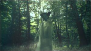 1η Συνάντηση βιντεοτέχνης στο Σέλι Ημαθίας