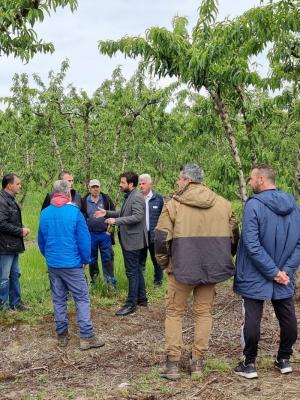 Άμεση επικοινωνία του Τάσου Μπαρτζώκα με τον ΕΛΓΑ για την καταγραφή των ζημιών από τον παγετό