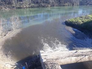 Οικολογική Ομάδα Βέροιας: Ποιος λέει ψέματα για τον βιολογικό καθαρισμό;