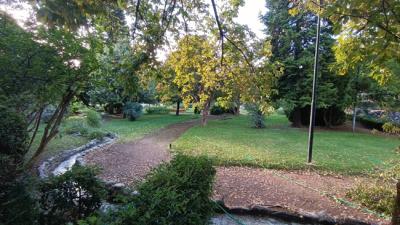 Σπεσμένα δένδρα και κλαδιά από το μπουρίνι στο πάρκο της Νάουσας