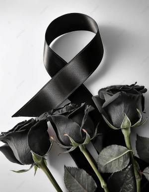 Συλλυπητήρια του Συλλόγου Βλάχων Βέροιας για τον θάνατο του Ηρακλή Αρτεμισιάδη