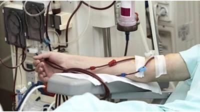 Ο Σύλλογος Νεφροπαθών Ημαθίας έκοψε την πίτα του