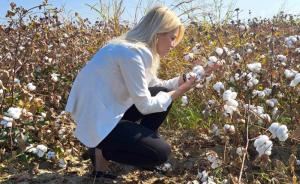 Το χρυσορυχείο της Ημαθίας παράγει βαμβάκι