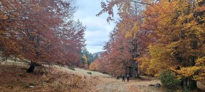 Στο Ξηροβούνι του Ξηρολιβάδου με τους Ορειβάτες Βέροιας