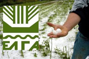 Δηλώσεις ζημιάς από χαλάζι στα Βερίκοκα και Νεκταρίνια στην Κουλούρα