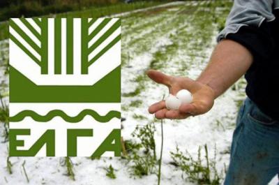 Δηλώσεις ζημιάς από χαλάζι στα Βερίκοκα και Νεκταρίνια στην Κουλούρα