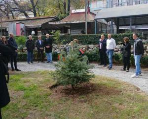 Συμβολική δενδροφύτευση στο Δημοτικό Πάρκο Νάουσας με αφορμή την Παγκόσμια Ημέρα Δωρεάς Οργάνων