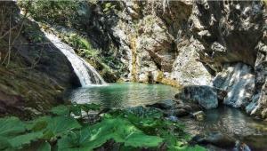 Εκδρομή στις βάθρες Μεταμόρφωσης του Βερμίου