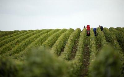 Ημερίδα της Αναπτυξιακής Ημαθίας για τς οινοποιητικές εμπειρίες στην Ημαθία