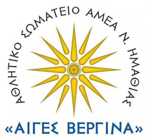 Γενική Απολογιστική Συνέλευση του Σωματείου ΑμεΑ "ΑΙΓΕΣ ΒΕΡΓΙΝΑ"