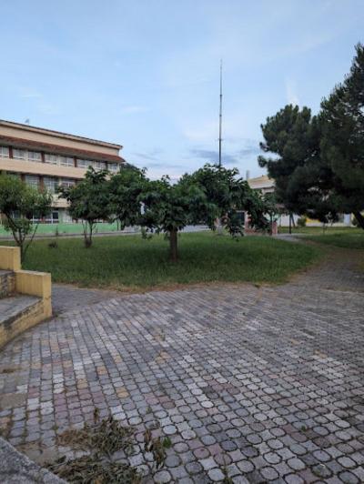 Συγχαρητήρια της Αντιδημάρχου Ελένης Λαφαζάνη στους νικητές μαθητές του 2ου Γυμνασίου Αλεξάνδρειας για τις επιτυχίες τους σε Μαθητικές Αθλητικές Διοργανώσεις