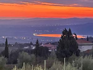 Όταν η αυγή βάφει πορτοκαλί τον κάμπο της Ημαθίας