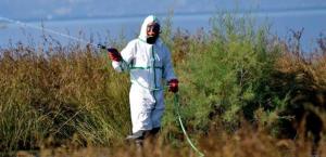 Eβδομαδιαίo πρόγραμμα δράσεων κατά των κουνουπιών στους οικισμούς του Δήμου Αλεξάνδρειας